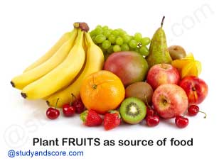 plants fruits as a source of food,Apple, Banana, Tomato, Grapes